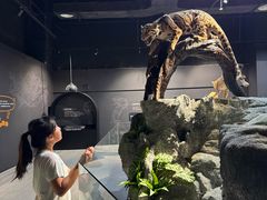 -厦门诚毅自然探索馆