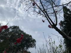-食德喜·阳山鸡王食研基地
