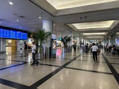 -厦门高崎国际机场-T3航站楼
