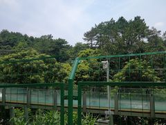 -牛鱼嘴原始生态风景区