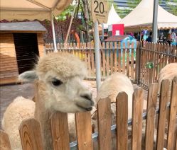 -萌宠亲子动物乐园(槐房万达店)