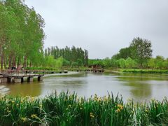 -东郊湿地公园