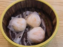 -杨记杏仁茶(椰园店)