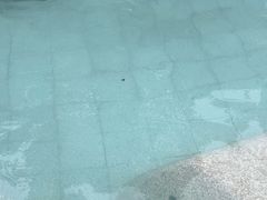 -碧水湾温泉
