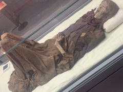 -巴音郭楞蒙古自治州博物馆