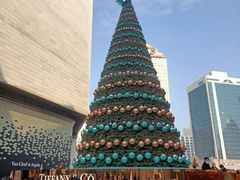 -Tiffany & Co.蒂芙尼
(南京德基广场店)