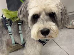 -达爱动物医院·犬猫分区·CT·复杂眼科(远洋山水分院)