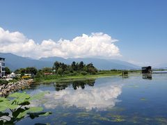 -才村湿地公园