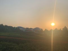 -虹料理·日料放题(悠方店)