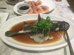 -欢乐海岸美食联盟