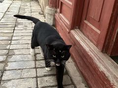 -兴教寺