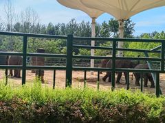 -秦皇岛野生动物园