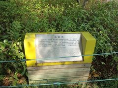 -青枫公园