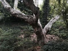 府山公园西大门-府山公园