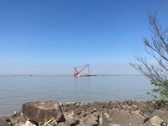 -上海滨江森林公园