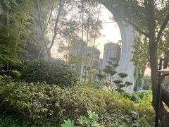 -朴园