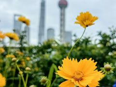 -北外滩滨江绿地