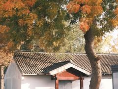 -西园戒幢律寺