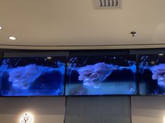 -蝎王府羊蝎子(西直门店)