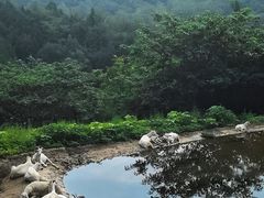 -香山公园