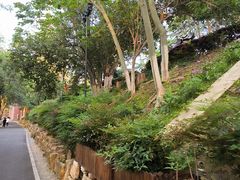 -龟山风景区-龟山电视塔