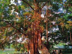 -东山湖公园