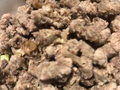 -海底捞火锅(邯郸新世纪中心店)