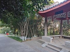 -菊花台公园