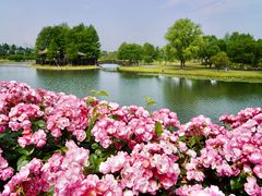 -上海辰山植物园