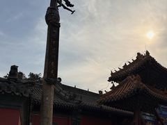 -药王庙(安国市)