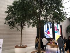 -Apple零售店(济南恒隆广场店)