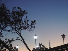 -宝安西湾红树林湿地公园