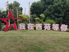 -西苑公园