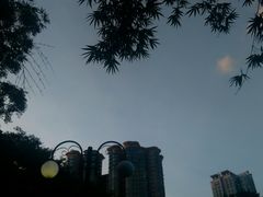 -晓港公园