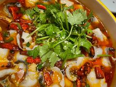 酸菜鱼-明城饭店(万科九都荟店)
