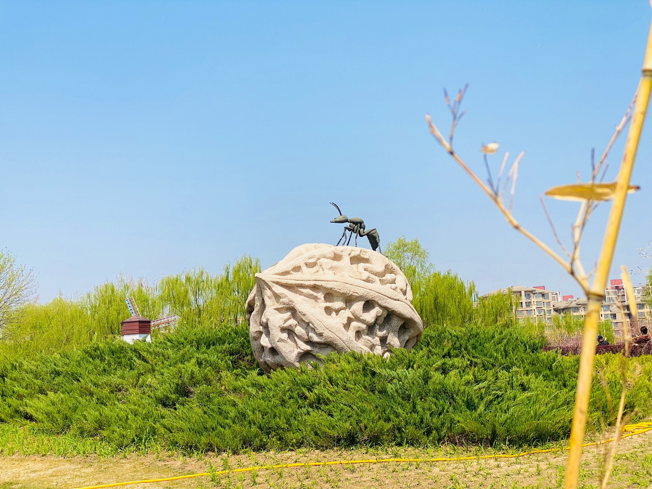 房山宝藏的长阳公园,赏花散步遛娃露营钓鱼🐟