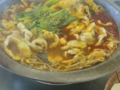 -都江堰石锅鱼