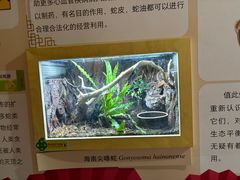 -宁波野生动物园