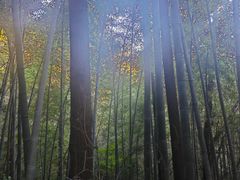 -敬亭山风景名胜区