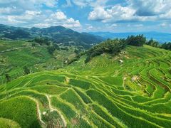 -紫鹊界梯田景区