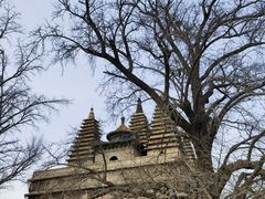 -北京石刻艺术博物馆(五塔寺)