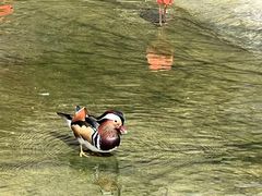 -上海野生动物园