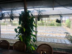 -Ohkajhu Organic Farm Sansai