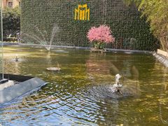 -锦江都城经典达华静安寺酒店·餐厅