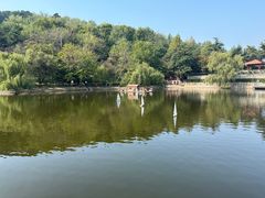 -北岭山森林公园
