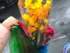 -双季花艺园艺市场(浦东店)