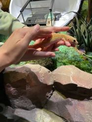 -酷嗒动物文化乐园(cutezoo西溪乐天城店)