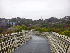 -福道