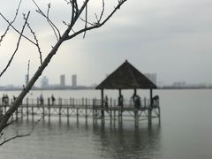 -瑶湖郊野森林公园