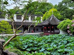 -上海醉白池公园